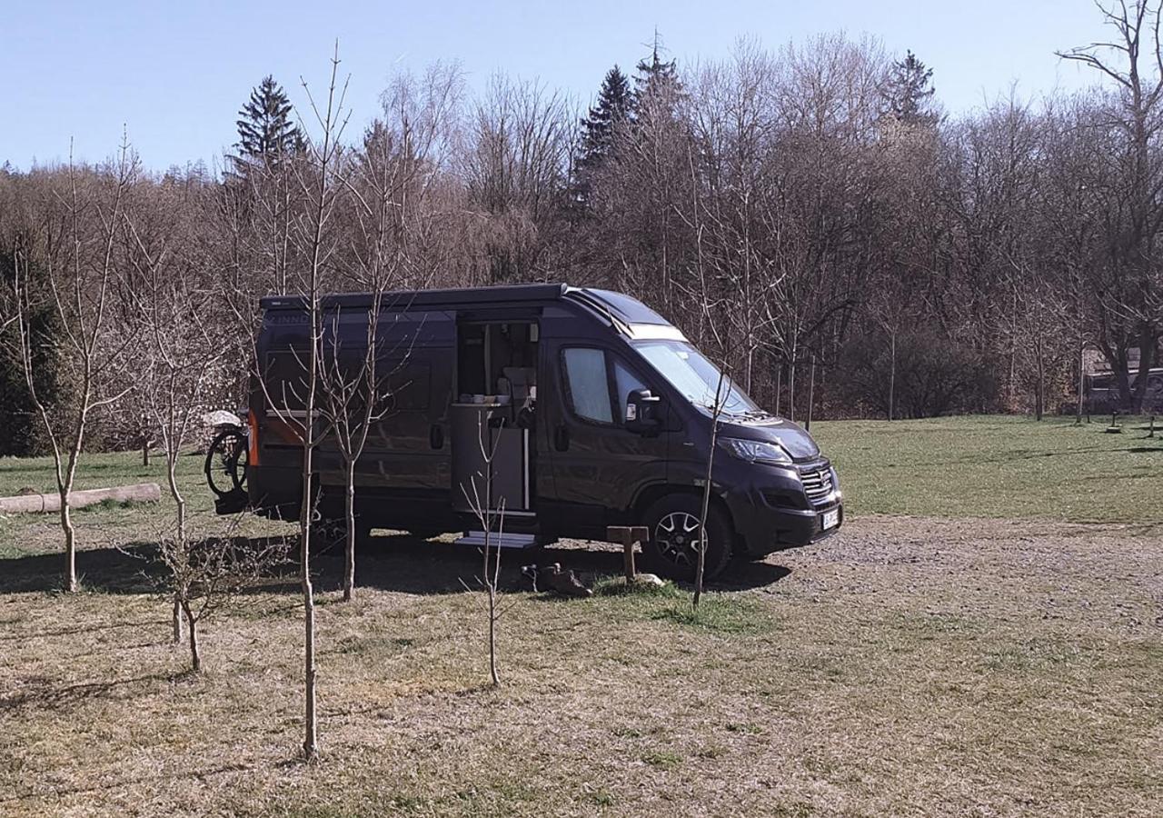 Destinature Dorf Suedeifel Ernzen Eksteriør billede